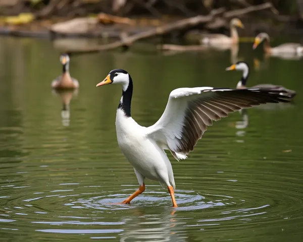 Archivo PNG de Huard Ubicado