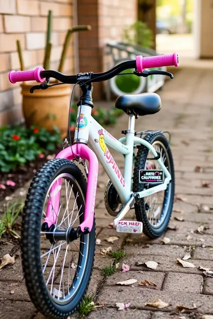 Bicicleta de 24 pulgadas para chicas con características personalizadas