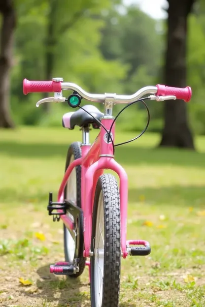 Bicicleta de 24 pulgadas para niñas divertidas