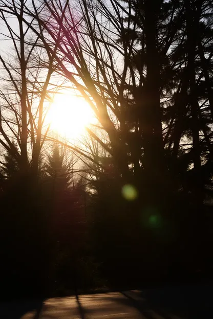 Buen Día Luz Solar Imágenes que Llenan el Aire