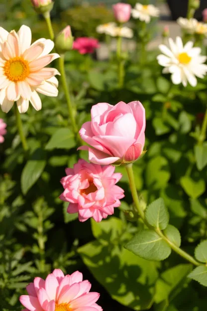 Buenas Mañanas, Flores Lindas: Exposición de Flores