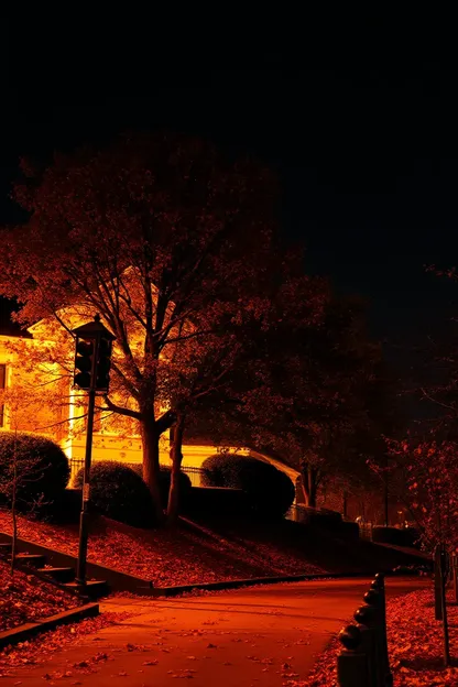 Buenas Noches, Fotos de Naturaleza de Estación de Otoño