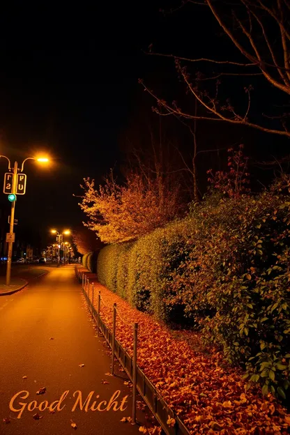 Buenas Noches FOTOS DE PAISAJE DE ESTACIÓN DE OTONO