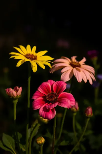 Buenas Noches Imágenes de Flores para Inspiración