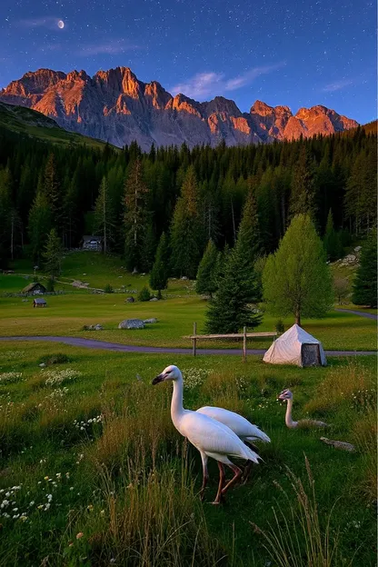 Buenas Noches Imágenes de la Naturaleza para la Serenidad