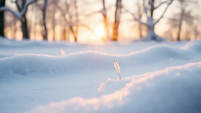 Calculadora de día de nieve 2025: Título igual de nuevo