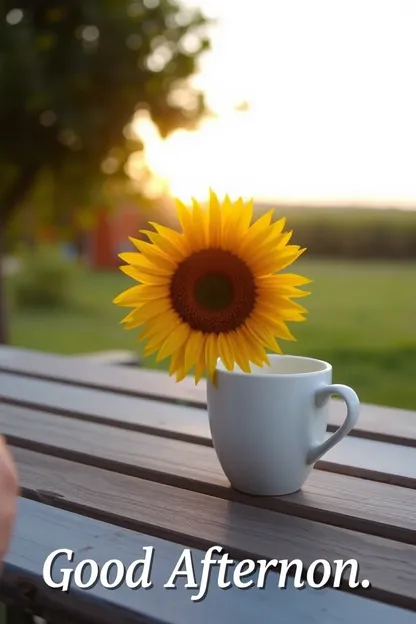 Citas Inspiradoras de Buenas Tarde con Imágenes Encantadoras