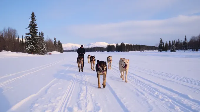 Clasificaciones de la Carrera de Perros de Trineo Iditarod 2025