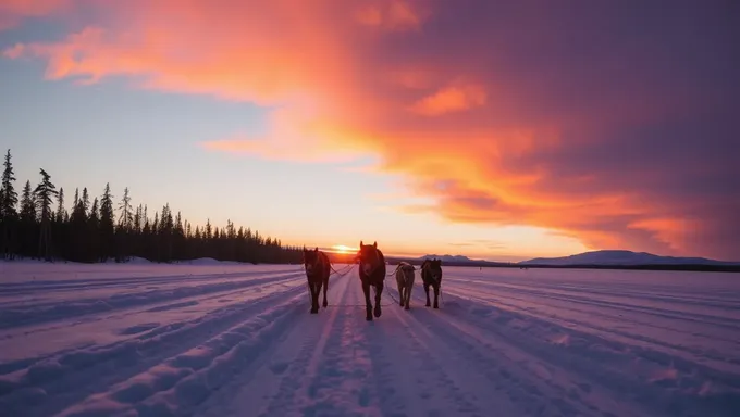 Clasificaciones y ganadores del Iditarod 2025