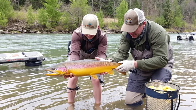 Consejos de pesca para la repoblación de truchas en WV 2025