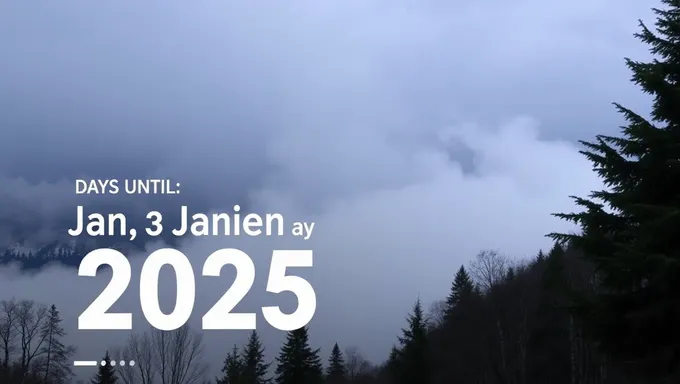 Contando hacia el 20 de enero de 2025 en días