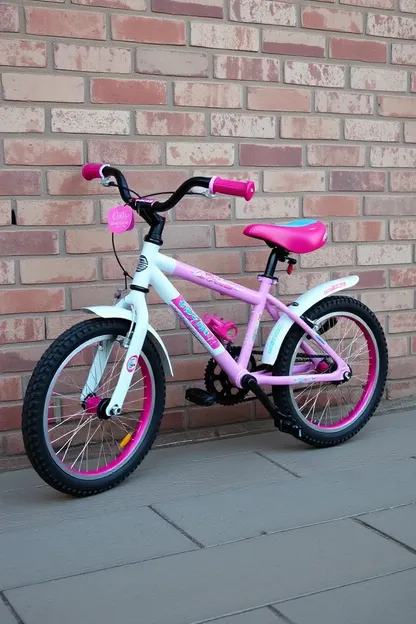 Descripción de la Bicicleta de Niña de 18 Pulgadas no Disponible