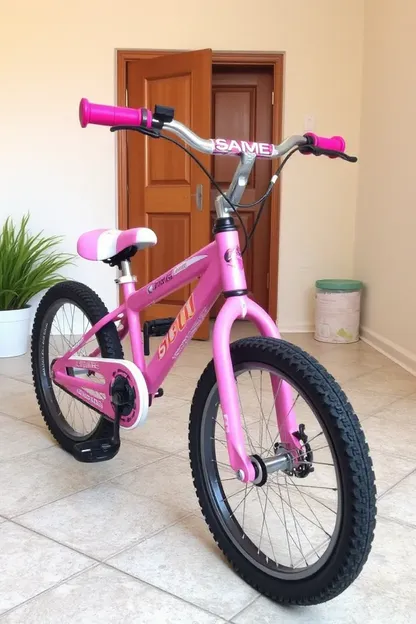 Descubre opciones de bicicletas de 18 pulgadas de niñas en línea