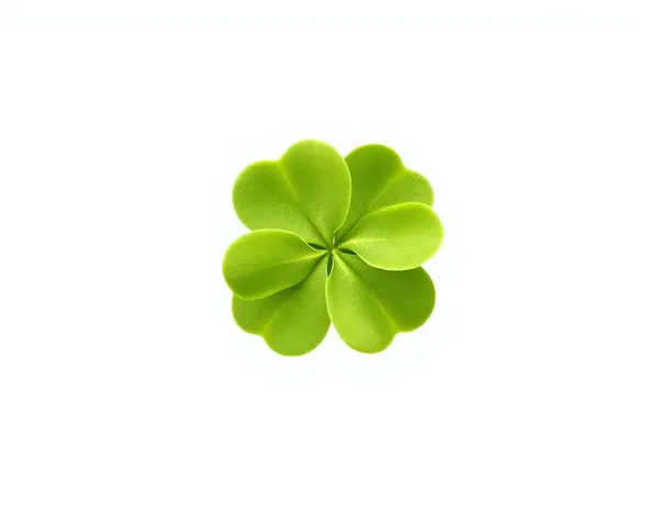 Descubrimiento de imagen PNG de hoja de clover con cuatro hojas raras