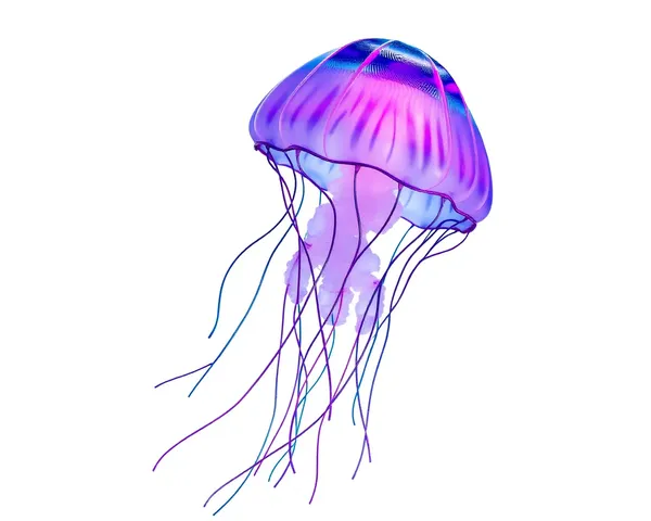 Detalles del archivo de imagen de jellyfish png