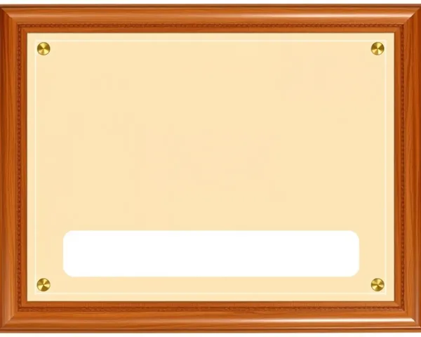 Diseño de software de placa de premio en blanco PNG