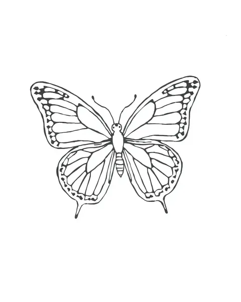 Diseño de tatuaje de mariposa en forma de contorno