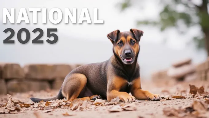 Día Nacional de Mutt 2025: Promoviendo la Adopción de Mascotas