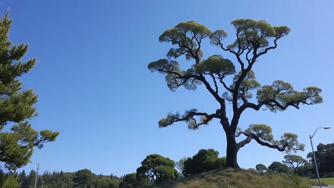 Día del Árbol 2025 Fortalece la Cooperación Internacional en Silvicultura