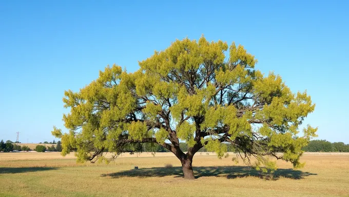 Día del Árbol 2025 fomenta el desarrollo de infraestructura verde