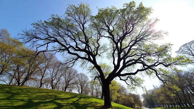 El Día del Árbol de 2025 promueve prácticas forestales urbanas sostenibles