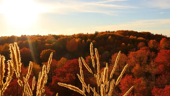 Equinoccio de Otoño 2025 Señala Cambio Natural