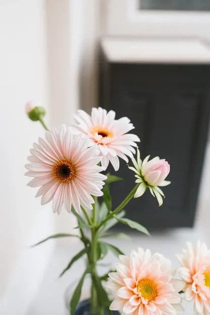 Fotos de flores coloridas de mañana con buenas noticias