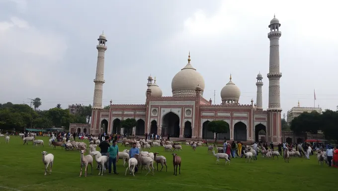 Historia de la Eid Ul Adha en Bangladés en 2025 Revelada