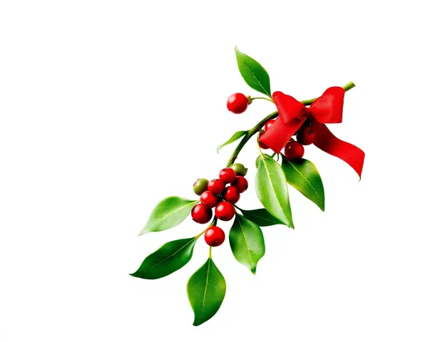 Imagen de archivo PNG de mistletoe encontrada