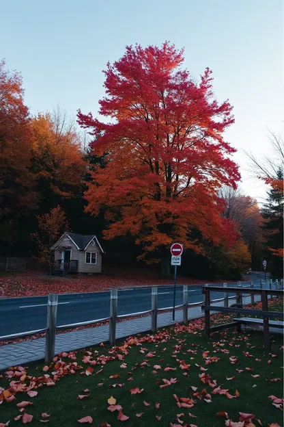 Imágenes de Buen Día con Luz Dorada de Otoño