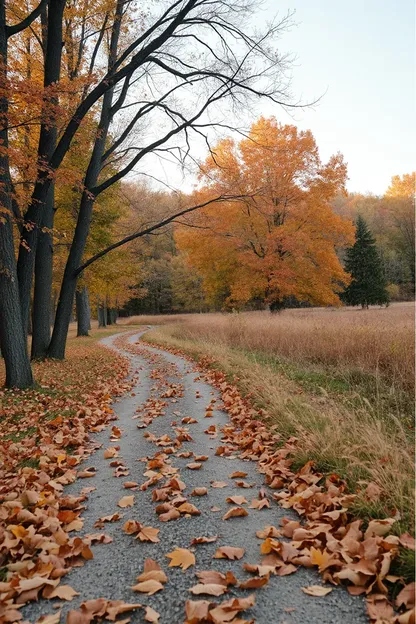 Imágenes de Buen Día de Otoño: Experiencia Calmante y Elevadora Garantizada