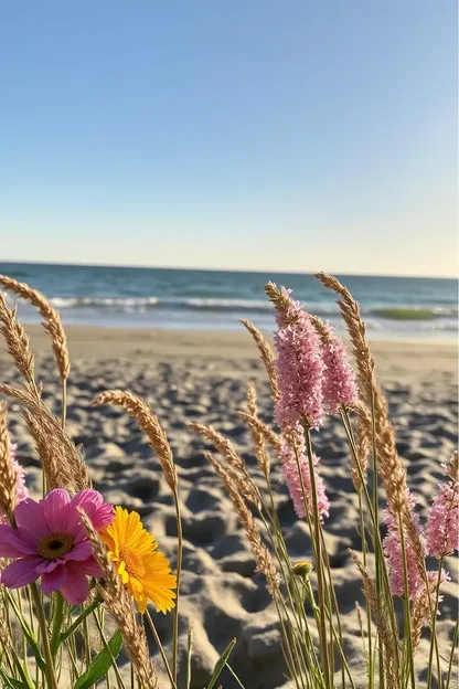 Imágenes de Buen Día de Verano para Iniciar el Día