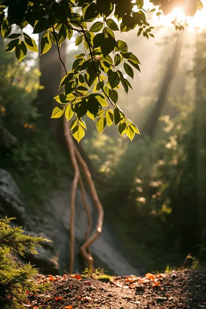 Imágenes de Buen Día para un Nuevo Comienzo en la Naturaleza