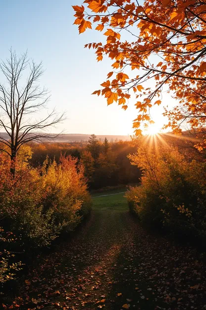 Imágenes de Buenas Mañanas de Otoño: Buenas Mañanas de Otoño