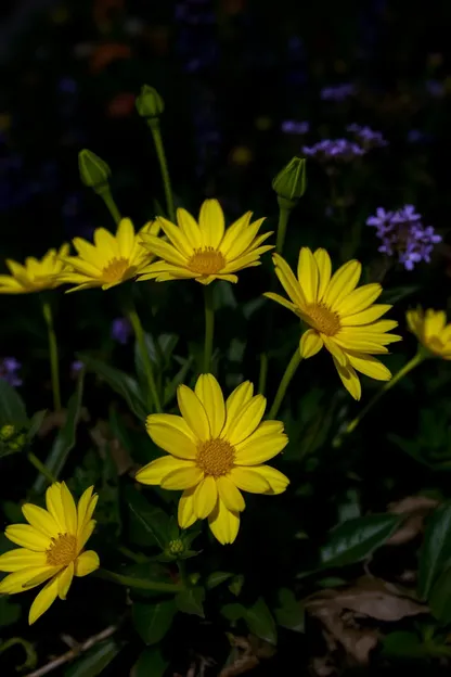 Imágenes de Buenas Noches con Flores para Atmosfera de Noche Serena