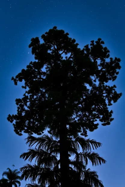 Imágenes de Buenas Noches con Serenidad de la Naturaleza