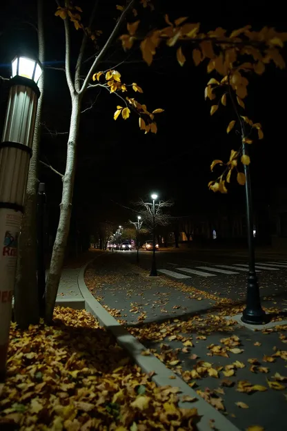 Imágenes de Buenas Noches de Noche Serena de Otoño