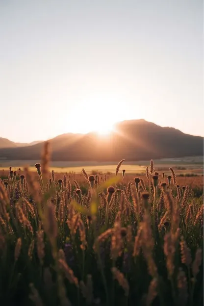 Imágenes de Dios: ¡Buenos días con imágenes de Dios!