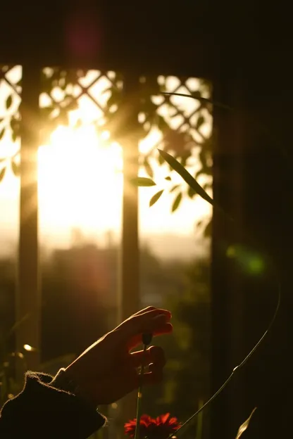 Imágenes de Mañana con Amor para Saludos de Buen Día