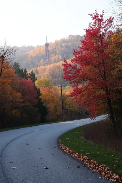 Imágenes de Mañana de Otoño: Imágenes de Otoño Buenas Mañanas