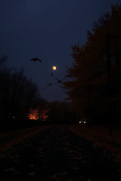 Imágenes de Noche de Otoño para Sueños Buenos