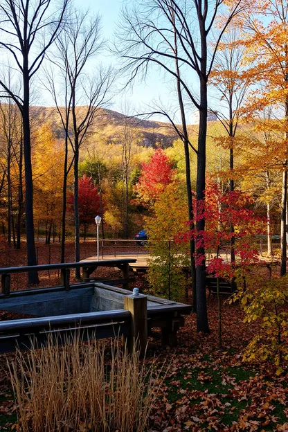 Imágenes de Otoño para Comenzar el Día con Buenas Vibraciones