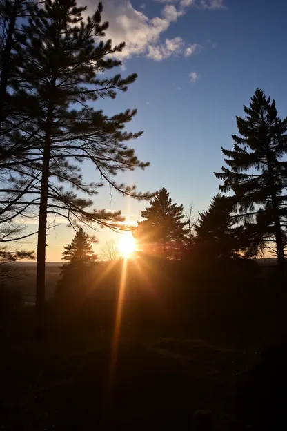 Imágenes de buenas mañanas de la naturaleza para un nuevo día