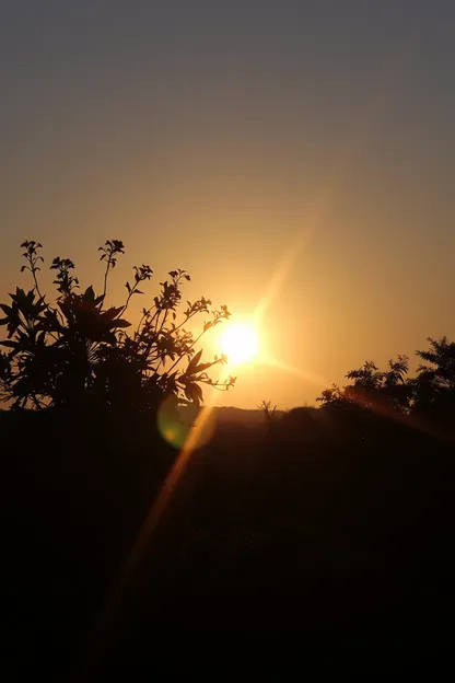 Imágenes de buenos días de la esplendor del sol