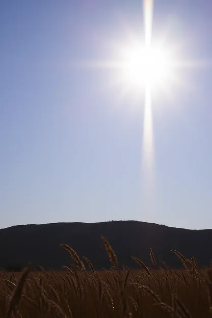 Imágenes de la luz del sol difunden felicidad en todas partes