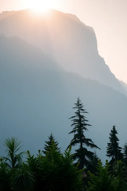 Imágenes de la mañana de la naturaleza de fresco y verde