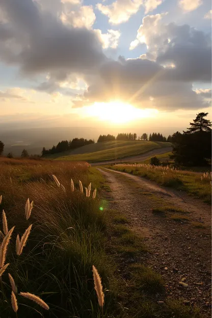 Imágenes de la mañana de la serenidad y paz de la naturaleza