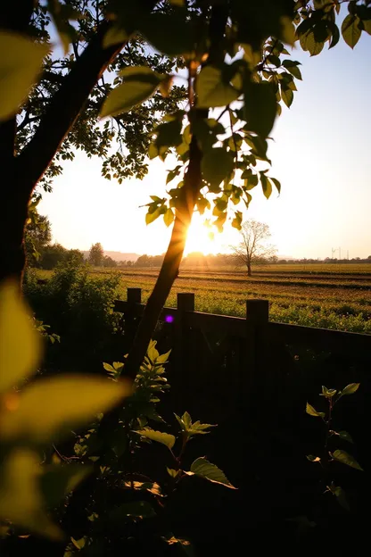 Imágenes de la mañana de maravillas y deleites de la naturaleza