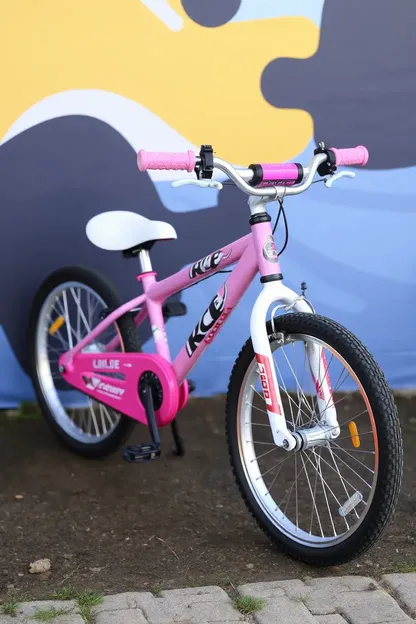 La Bicicleta de 20 Pulgadas de las Chicas para un Paseo Feliz y Saludable