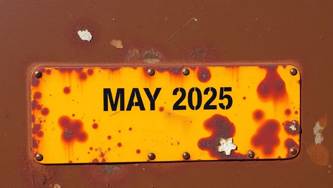 La actualización de Rust en mayo de 2025 refuerza la posición de Rust en la industria